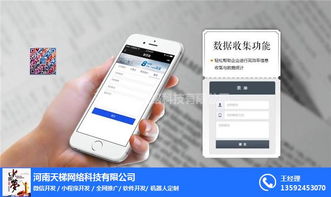 小程序開發(fā)與網(wǎng)絡技術(shù) 天梯網(wǎng)絡在陜西的機遇與挑戰(zhàn)
